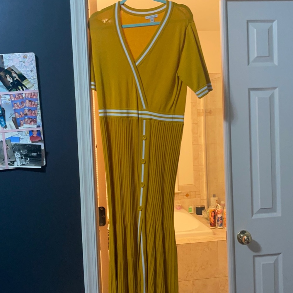 Eva Mendes New York and Company Dress